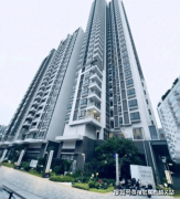  验证.解答项目规划、购房政策等问题）选 